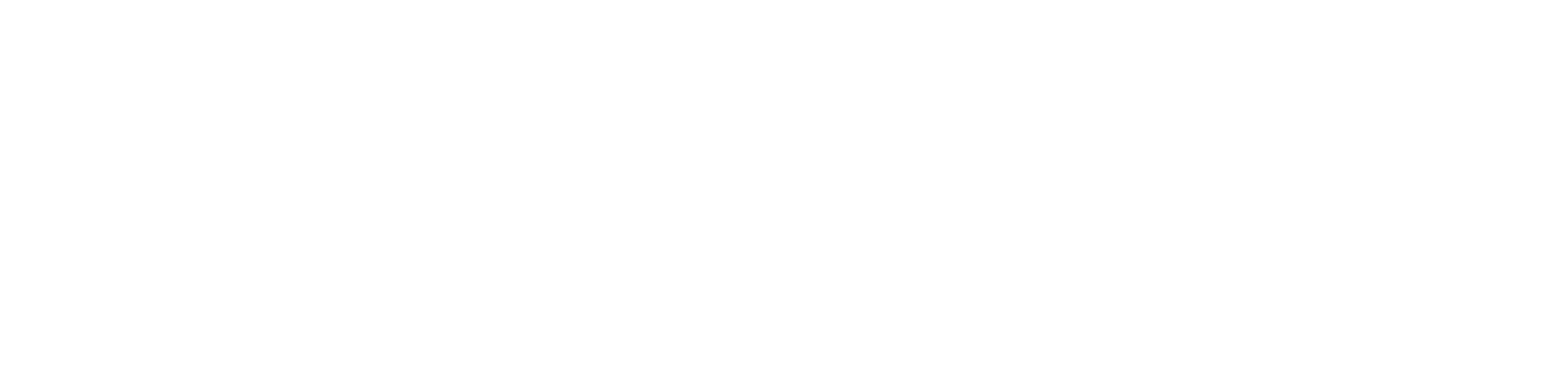 LOGO SALVAT